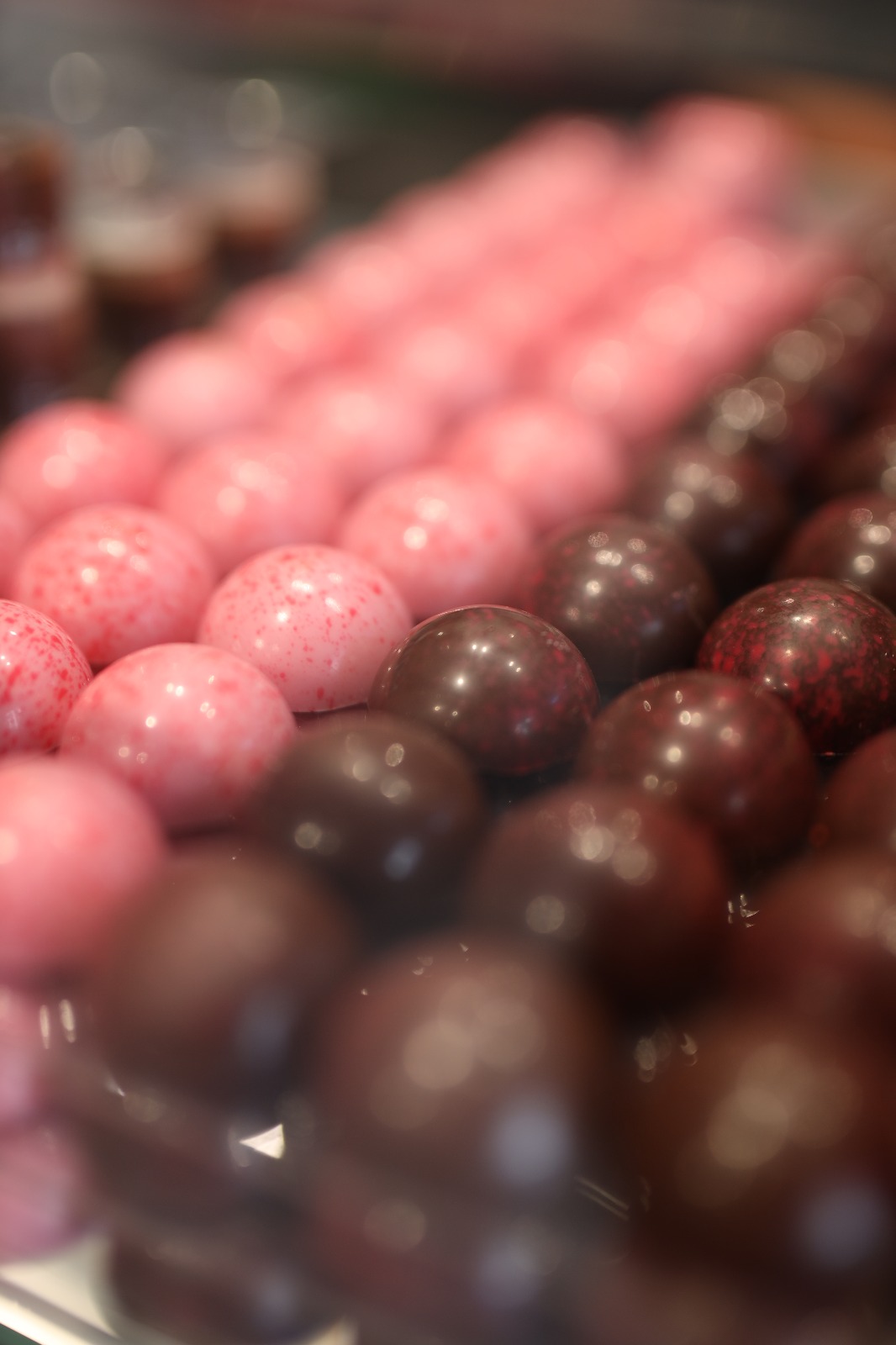 WhatsApp Image 2020-07-28 at 5.40.52 PM.jpeg.jpeg